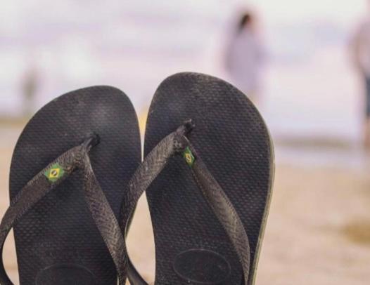 شقة Un Petit Nid Les Pieds Dans L'Eau أرجيليه- سور- مير المظهر الخارجي الصورة